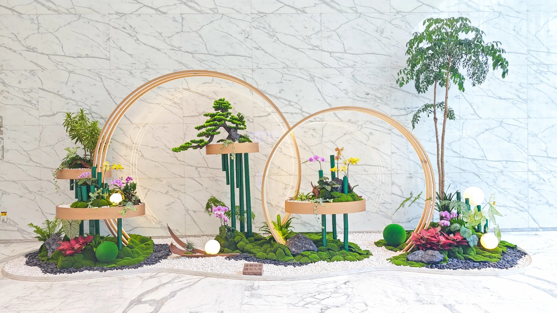 余姚盆景出租，享受便捷的绿植租赁服务